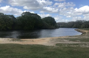 Wanstead Flats